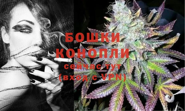 сатива Няндома